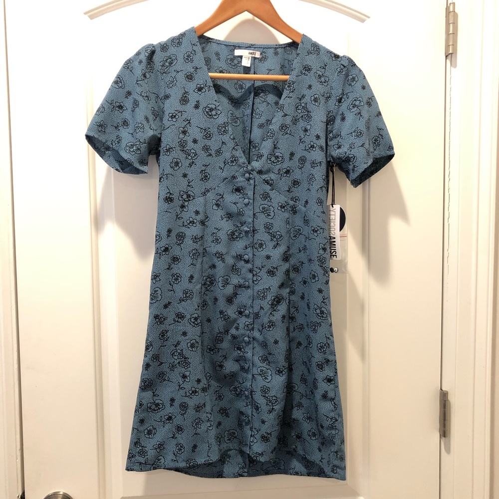 Amuse society dress